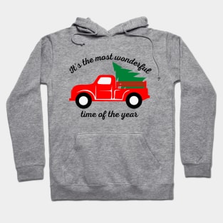 IT'S THE MOST WONDERFUL TIME OF THE YEAR Hoodie